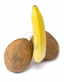 12964407-levitating-banana-between-two-coconuts